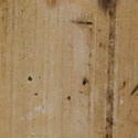 bamboo1
