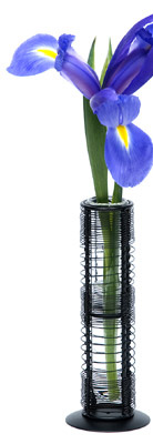 flower_400